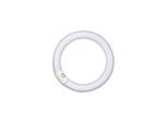 Osram Fluoreszierende Glühbirne LUMILUX T9 C 32W 4000K G10q
