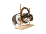 Trixie Kleintier-Agility-Set mit Ring & Hürde für Ratten Zwergkaninchen 28x26x11cm