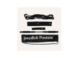 Swedish Posture Mini Gym
