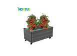 HORTUS Capillary cover incl. wheels WPC 36 x 50 x 90 cm
