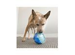 KONG Dog Toy Rewards Ball Large 12cm