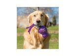 KONG Hundespielzeug Wubba Assorted Colors Large 32cm