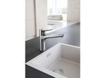 Kludi Mix Küchenarmatur-Einhebelmischer 329040575 geschlossener Hebel, schwenkbarer Auslauf, chrom