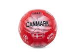 ASG Denmark Football size 5
