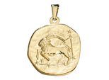 Sternzeichenanhänger JOBO "Anhänger Sternzeichen", gelbgold 333, Schmuckanhänger, Damen, Steinbock, Gelbgold 333, 333 Gold rund