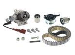 SKF Wasserpumpe + Zahnriemensatz vkmc01279 für Ford Skoda VW (FAW) MAN MITSUBISHI
