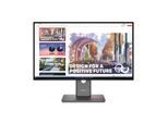 Lenovo ThinkVision P27QD-40 QHD IPS Display 68,6 cm (27")