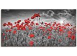 Wandbild ARTLAND "Idyllisches Mohnblumenfeld mit Sonne", schwarz (farbe bild(er): schwarz), B:60cm H:30cm, Bilder, Wandbild, als Alubild, Leinwandbild, Poster in verschied. Grössen