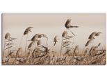 Leinwandbild ARTLAND "Gräser", beige (farbe bild(er): natur), B:60cm H:30cm, Bilder, Leinwandbild, auf Holzrahmen gespannt