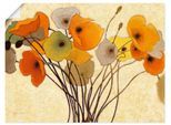 Wandbild ARTLAND "Kürbismohn I", orange (farbe bild(er): orange), B:60cm H:45cm, Bilder, als Leinwandbild, Poster in verschied. Größen