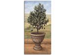 Leinwandbild ARTLAND "Olivenbaum", grün (farbe bild(er): grün), B:30cm H:60cm, Bilder, Leinwandbild, auf Holzrahmen gespannt