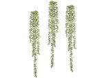 Kunstranke CREATIV GREEN "Sedumhänger", grün (hellgrün), B:10cm H:70cm, Kunststoff, Kunstpflanzen, Kunstranke, 3er Set