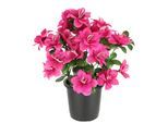 Kunstblume I.GE.A. "Kunstblume Azaleen im Topf", rot (azalee), B:21cm H:29cm L:21cm, Polyester, Kunstpflanzen, Blume Kunstpflanze Blumendeko Tischdeko Zimmerpflanze
