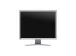 EIZO FlexScan S2134-GY LCD-Monitor 54 cm 21,3 Zoll