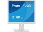 iiyama ProLite B1980S-W1 Monitor 48cm (19 Zoll)