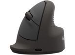 Fellowes Vertikalmaus Bretyta Ergo, Größe M, für Rechtshänder, ergonomisch, 2-fache Konnektivität, 800-1600 dpi, B 83 x T 104,5 x H 75 mm, schwarz