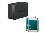 Synology DiskStation DS223 2 Einschübe NAS-Server Leergehäuse + 2x Synology Plus 3.5" SATA 6Gb/s Festplatte 12 TB (24TB)