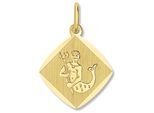 Sternzeichenanhänger ONE ELEMENT "Wassermann Sternzeichen Anhänger aus 333 Gelbgold", gold, Schmuckanhänger, Damen, Wassermann, Gelbgold 333 Gold, Gelbgold 333, Gold, Sinnbild Ihrer Persönlichkeit – eine schöne Idee zum Verschenken