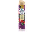 GLADE Winter Berries luchtverfrissers 300 ml