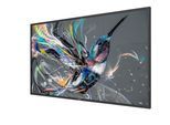Philips 50BDL3511Q Signage Display 125,7 cm (50 Zoll)