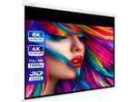 eSmart Germany Rollo Leinwand MIROLO 305 x 229 cm (150") 4:3
