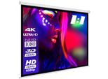eSmart Economy EXR Rollo Leinwand 240 240 (134") 1:1