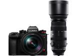 Panasonic Lumix DC-S1RII + S 24-105mm f4 + Sigma 150-600mm f5-6,3 L-Mo - nach 500 EUR Panasonic Lumix X-Mas Sofortrabatt Aktion
