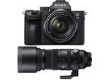 Sony Alpha ILCE-7 III + 28-70mm + Sigma 150-600mm f5-6,3 DG DN OS [S]