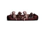 Tierlando GOOFY - Orthopädisches Hundebett aus Polyester inkl. Matratzenschoner bordeaux 1,6 m, 25 cm, 1,1 m
