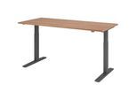 HAMMERBACHER VXMKA19/N/G elektrisch höhenverstellbarer Schreibtisch 70,0 - 120,0 cm - elektrisch nussbaum / grafit