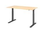 HAMMERBACHER VXMKA16/3/G elektrisch höhenverstellbarer Schreibtisch 70,0 - 120,0 cm - elektrisch ahorn / grafit