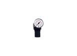 Riegler Druckregler für Wasser mit Manometer G 1/4 0,2-6 bar PE max. 25, 484.06)