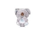 Chipolino Musikspielzeug Plüschtier Koala Melodie, Geräusche, Lichter, ab Geburt grau