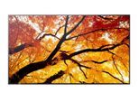 Sharp MultiSync M752 Digital Signage Display 189,3 cm 75 Zoll
