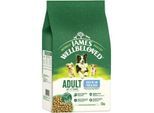 James Wellbeloved Fisch & Reis 12 Kg