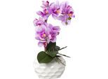 Kunstorchidee CREATIV GREEN "Deko-Orchidee Phalaenopsis im Keramiktopf", lila, B:17cm H:33cm T:13cm, Obermaterial: 95% Polyethylen, 5% Polyester, Kunstpflanzen