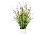 Kunstgras CREATIV GREEN "Blutgras", grün (grün, rot), B:15cm H:61cm, Kunststoff, Kunstpflanzen, im weißen Kunststofftopf
