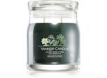 Yankee Candle Silver Sage & Pine geurkaars Signature 368 g