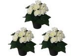 Kunstpflanze CREATIV GREEN "Begonie", weiß, B:15cm H:24cm, Obermaterial: 70% Polyester, 30% Kunststoff, Kunstpflanzen, Kunstpflanze, im 3er Set