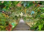Fototapete KOMAR "Wild Bridge - Größe 368 x 254 cm", bunt, B:368m L:254m, Papier, Tapeten, Wohnzimmer, Schlafzimmer