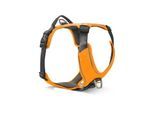 Wolters Active Pro Comfort Hundegeschirr orange XXL