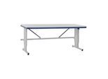 Rocholz Grundtisch mit Elektrohöhenverstellung SYSTEM FLEX 1200x800x720-1120 mm RAL9006/5010 (73000601)