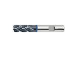 HOLEX ProINOX VHM-Torusfräser HPC Ø DIN 6535 HB 12/1.0 mm (206348 12/1,0)