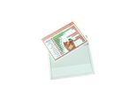 Eichner Magnet-Sichttasche aus Hart-PVC DIN A4 quer, grau (9218-01820-11)