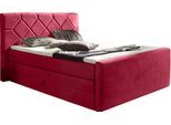 Boxspringbett HOME AFFAIRE "Atlanta", rot, B:160cm L:221cm, Kunststoff, Massivholz, Stoff, Komplettbetten, Boxspringbett, inklusive Topper und Bettkasten