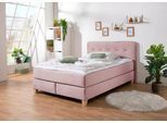 Boxspringbett HOME AFFAIRE "Fargo", lila (flieder), B:153cm L:227cm, Struktur fein (100% Polyester);Samtstoff (100% Polyester), Komplettbetten, Boxspringbett, in Überlänge 220 cm, mit Topper, 3 Ausführungen, 4, Breiten
