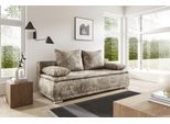 Schlafsofa WERK2 "Biggi komfortabel & elegant, Schlaffunktion, Bettkasten, Breite 206 cm", braun (beige, braun), B:206cm H:88cm T:91cm, 100% Polyester, Sofas, Schlafsofa, inkl. losen Kissen, Bouclé APHRODITE, Beige-Braun