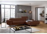 Ecksofa W.SCHILLIG "piedroo, Designsofa mit tollem Sitzkomfort, bequem und elegant, L-Form", braun (tabacco z69), B:303cm H:70cm T:193cm, Longlife Xtra-Leder Z69: Das feinnarbige, gedeckte Softleder Z69 besticht durch seine außergewöhnliche Weichheit im trendigen »Vintage-Look«, Hautstärke 0, 9 - 1, 1 mm, Sofas, Ecksofa, Kopfteilverstellung, wahlweise mit Sitztiefenverstellung, Breite 303cm