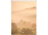 Seitenzugrollo LICHTBLICK ORIGINAL "Rollo Klemmfix, ohne Bohren, Verdunkelung, Toskana - Orange Braun", orange (orange, braun, weiß), B:150cm H:120cm, Polyester, Rollos, Seitenzugrollo