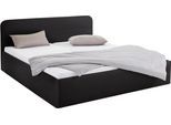 Polsterbett, schwarz, B:190cm L:210cm, Bezug Bett: wahlweise Microfaser (100% Polyester), Strukturstoff (77% Polyester, 23% Viskose) oder Kunstleder;Bonnell-Federkernmatratze: Mischgewebe (51% Polyprophlen, 39% Polyester, 10% Baumwolle);Kaltschaummatratze: Frottee (100% Polyester), Bezug abnehm- und waschbar bis 60C, WESTFALIA SCHLAFKOMFORT, Betten, Polsterbett, inkl. Bettkasten bei Ausführung mit